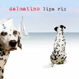 Dalmatino ljubavne pjesme