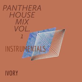 Album cover of PANTHERA HOUSE MIX, Vol. 1 (INSTRU)