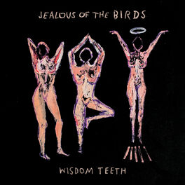Album cover of Wisdom Teeth