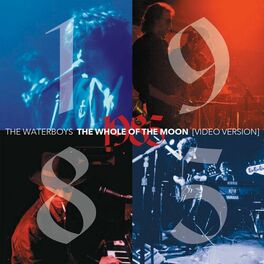 Album cover of The Whole Of The Moon (Video Version)