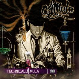 Album cover of Technicali4mula