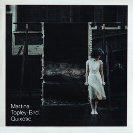 Album cover of Quixotic