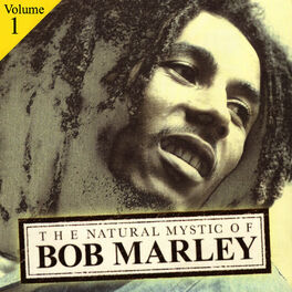 Bob Marley Lively Up Yourself Listen With Lyrics Deezer