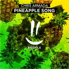 Chris Armada Pineapple Song Original Mix listen with lyrics