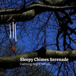 Album cover of Sleepy Chimes Serenade: Calming Night Winds