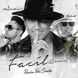 Album cover of Fácil (Remix)