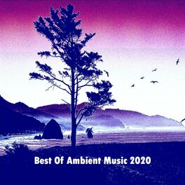 Album cover of Best of Ambient Music 2020