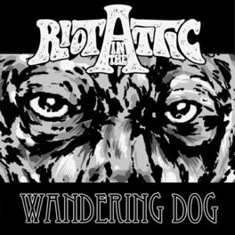 Album cover of Wandering Dog