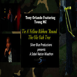 Album cover of Tie a Yellow Ribbon 'Round the Ole Oak Tree