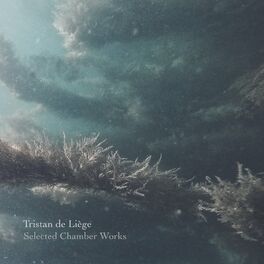 Album cover of Selected Chamber Works