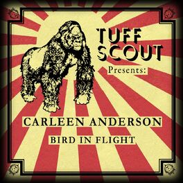 Album cover of Bird In Flight