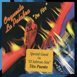 Album cover of On Fire