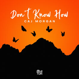 Album cover of Don't Know How