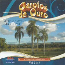 Album cover of Músicas Gaúchas Inesquecíveis, Vol. 2