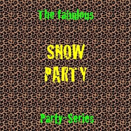 Album cover of Snow Party