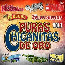 Album cover of Puras Chicanitas De Oro Vol. 1