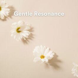 Album cover of Gentle Resonance (Meditative Piano Landscapes)
