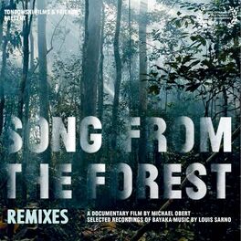Album cover of Song from the Forest (Remixes)