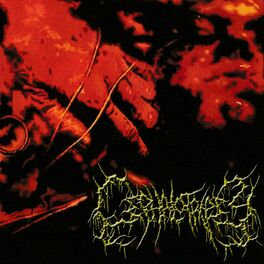 Cephalotripsy: música, letras, canciones, discos | Escuchar en Deezer