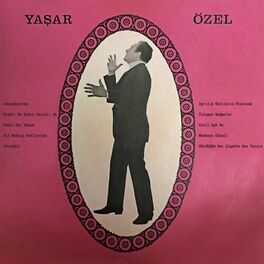 Album cover of Yaşar Özel 1973
