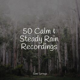 Album cover of 50 Calm & Steady Rain Recordings