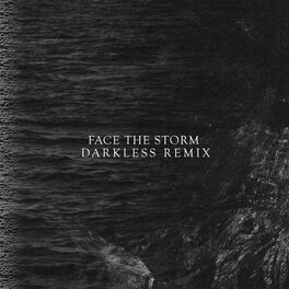 Album cover of Face the Storm (Darkless Remix)