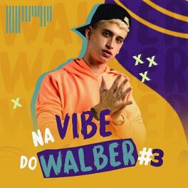Album cover of Na Vibe do Walber #3