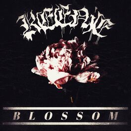Album cover of BLOSSOM