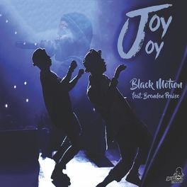 Album cover of Joy Joy