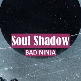 Album cover of Soul Shadow