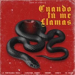 Album cover of Cuando Tu Me Llamas