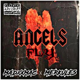 Album cover of ANGELS FLY (feat. MERKULES)