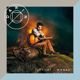 Album cover of Fjärilar i magen