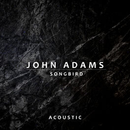 Album cover of Songbird (Acoustic)
