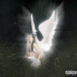 Album cover of young forever