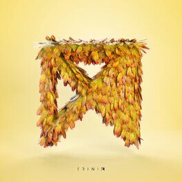 Album cover of Now or Never