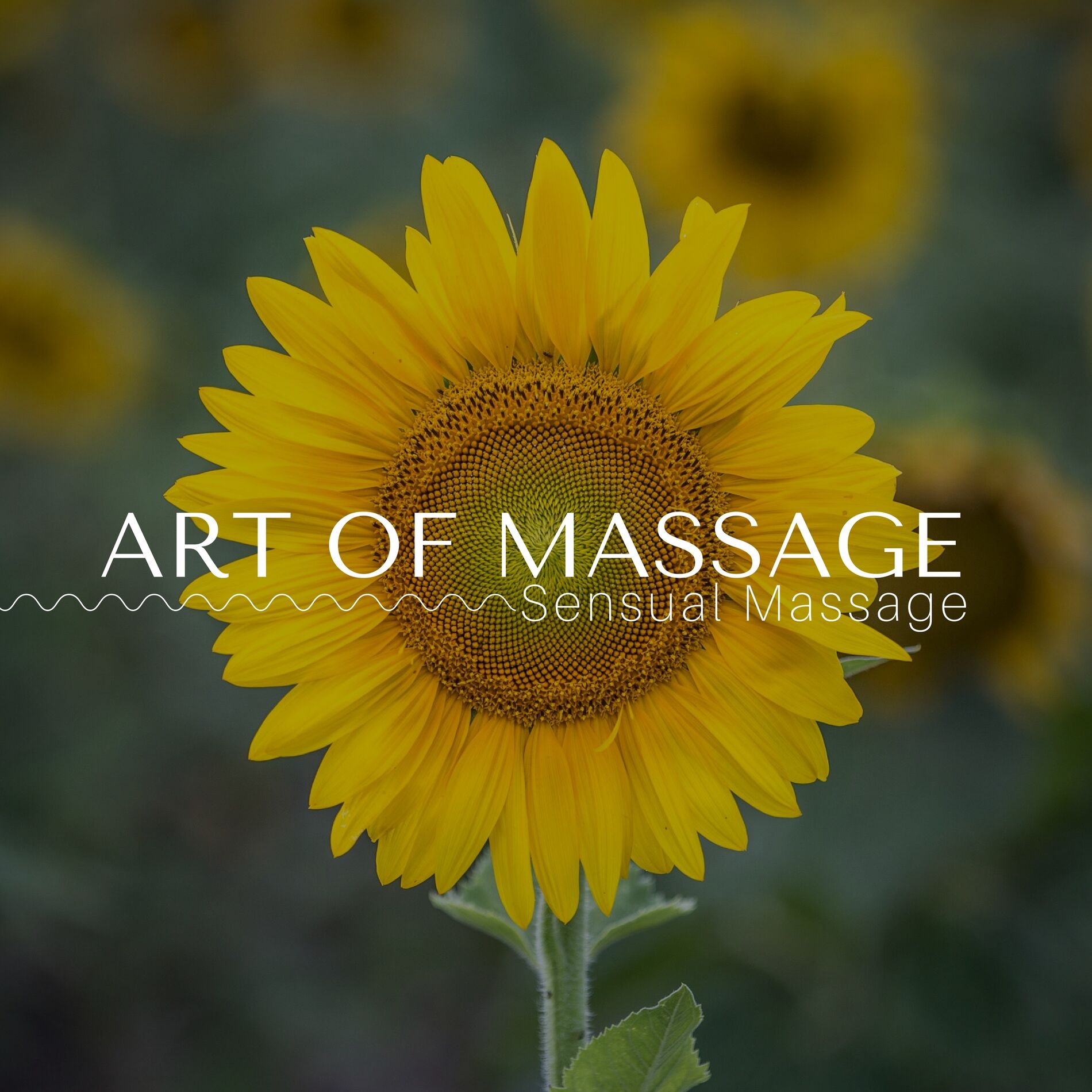 Little Night - Art of Massage - Sensual Massage, Love Making Sounds, Hot  Oil Massage, Erotic Spa Music, Soothing Music: тексты и песни | Deezer