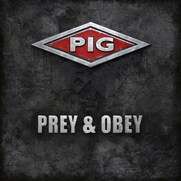 Album cover of Prey & Obey