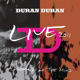 Album cover of A Diamond In The Mind (Live At The MEN Arena,Manchester, England / 2011)