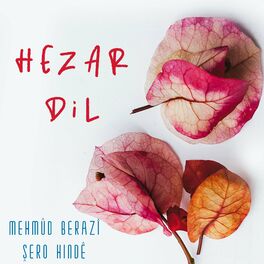 Album cover of Hezar Dil