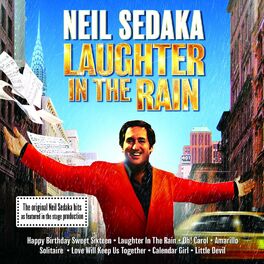 Album cover of Laughter In The Rain