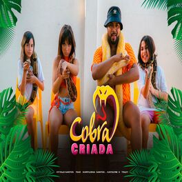 Album cover of Cobra Criada