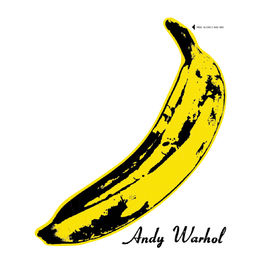 Album cover of The Velvet Underground & Nico 45th Anniversary