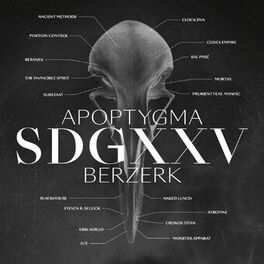 Album cover of SDGXXV