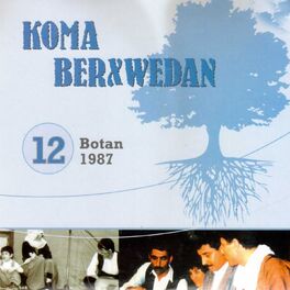 Album cover of Botan, Vol. 12 (1987)