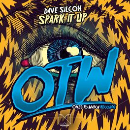 Album cover of Spark It Up