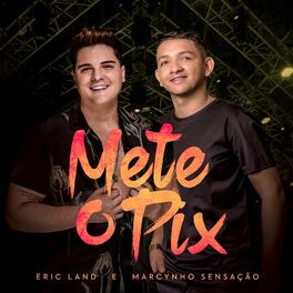 Album cover of Mete o Pix