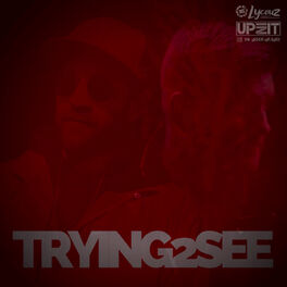 Album cover of Trying 2 See