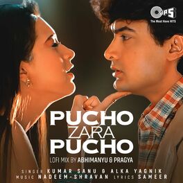 Album cover of Pucho Zara Pucho (Lofi Mix)