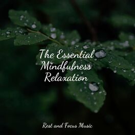 Album cover of The Essential Mindfulness Relaxation